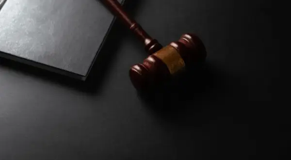 Marteau de juge sur un livre noir, symbolisant le vol et l'escroquerie en droit pénal.