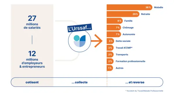 Infographie montrant la répartition des cotisations collectées par l'Urssaf, avec l'inscription "privilège Urssaf" suggérant l'importance de ce système.